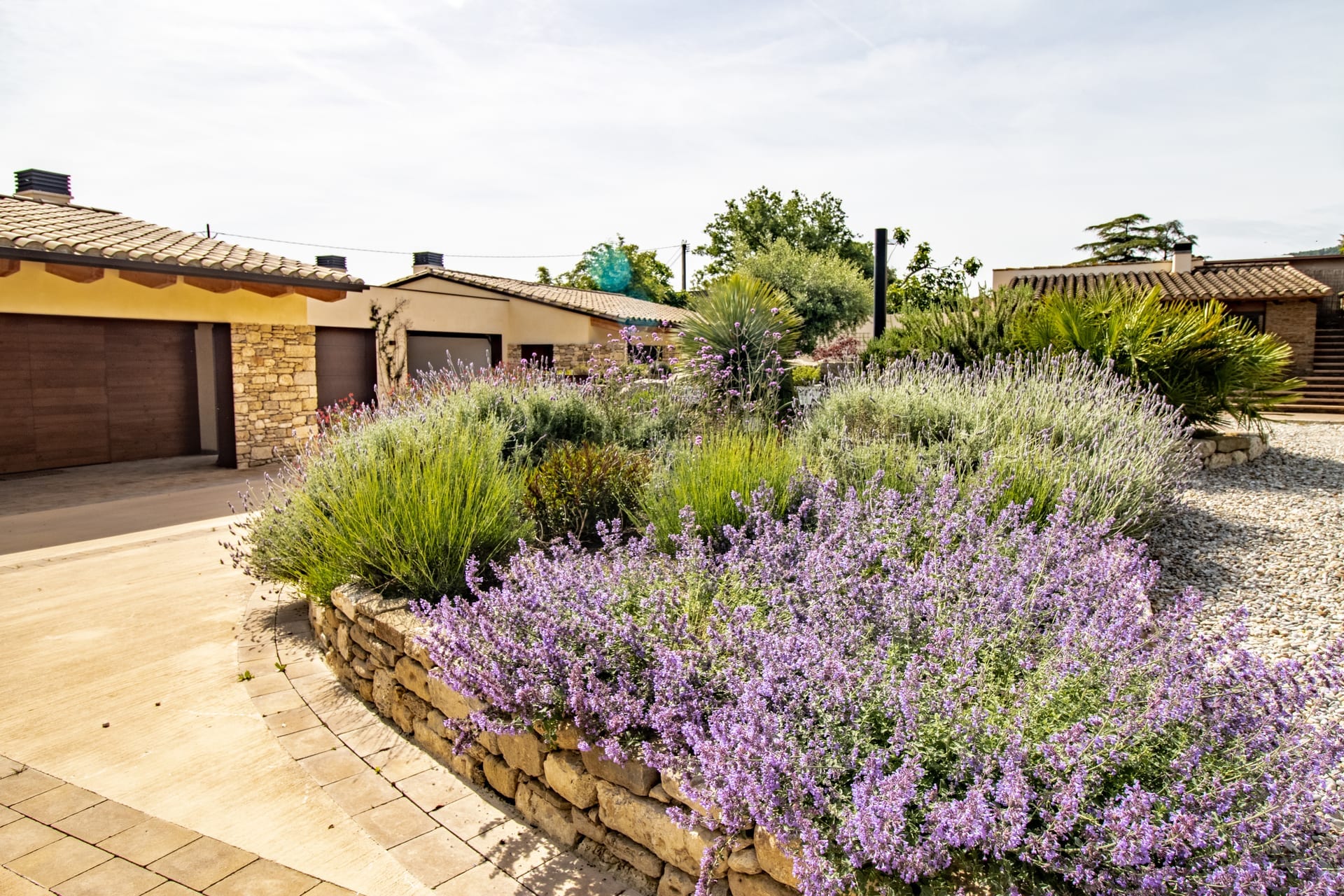 Casa Romaní — foto 17